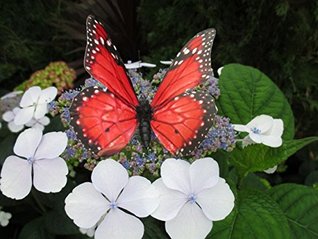 Read Butterfly Monarch travel from Canada to Mexico without GPS - W. Tohme file in PDF
