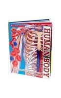 Read Scholastic Discover More: Human Body [Hardcover] [Jan 01, 2017] Steve Setford - Steve Setford | ePub
