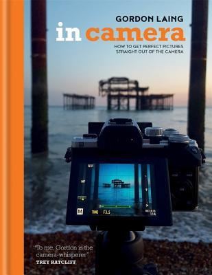 Read online In Camera: Perfect Pictures Straight out of the Camera - Gordon Laing | ePub