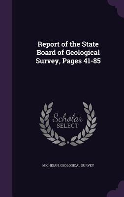 Read online Report of the State Board of Geological Survey, Pages 41-85 - Michigan Geological Survey file in ePub