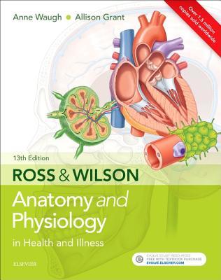 Download Ross & Wilson Anatomy and Physiology in Health and Illness - Anne Waugh | PDF