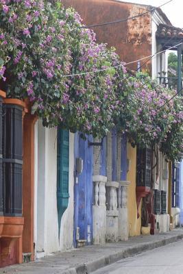 Download Cartagena de Indias Architecture in Colombia Journal: 150 Page Lined Notebook/Diary - NOT A BOOK | PDF