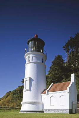 Read online Heceta Head Lighthouse Journal: 150 Page Lined Notebook/Diary - NOT A BOOK file in PDF
