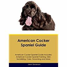 Download American Cocker Spaniel Guide Includes: American Cocker Spaniel Training, Diet, Socializing, Care, Grooming, Breeding and More - Jason Sanderson file in ePub